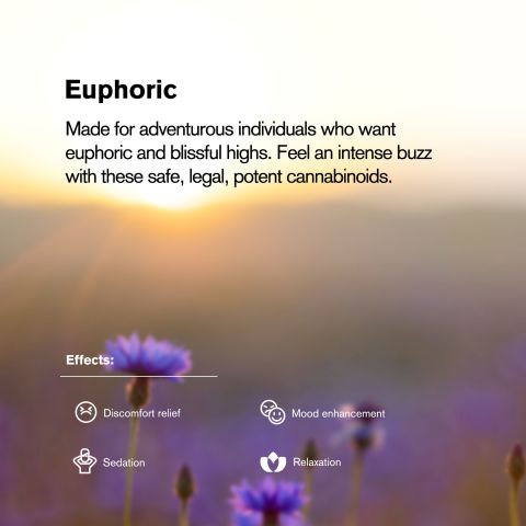 20mg 7-Hydroxy Tablets - Blueberry - Thumbnail 7