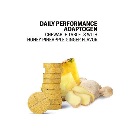 500mg - Daily Performance Adaptogen - Mood Tablets - Thumbnail 4