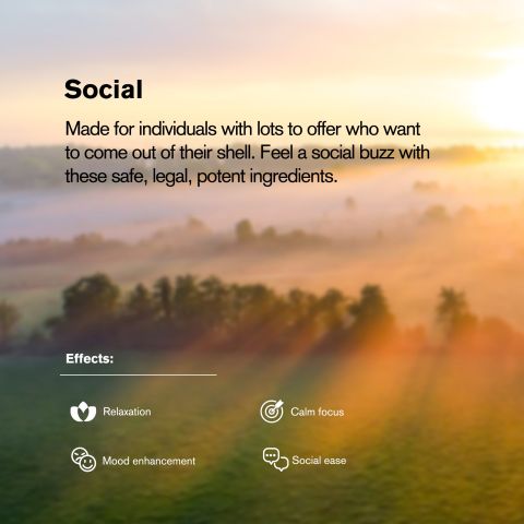 150mg Sceletium Tortuosum Extract Tablets - Pineapple - Simply Tabs - Thumbnail 8
