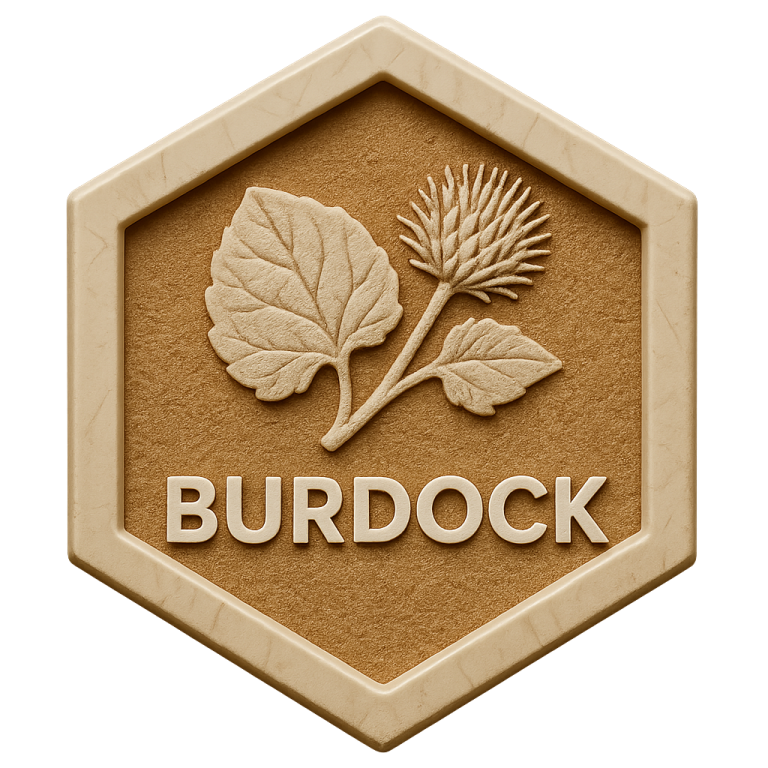 Burdock Products