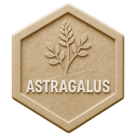 Astragalus Products